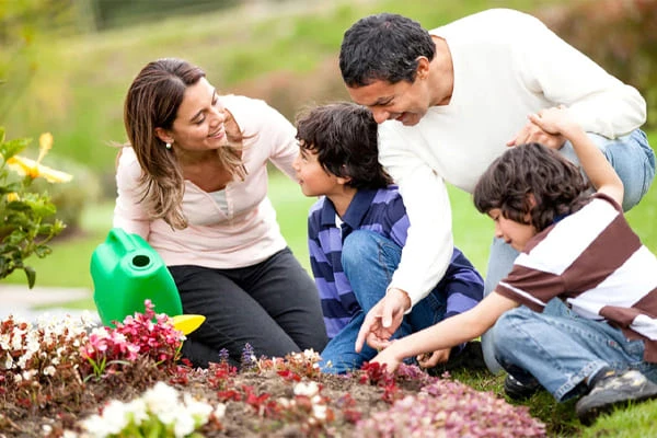 Gardening_26022