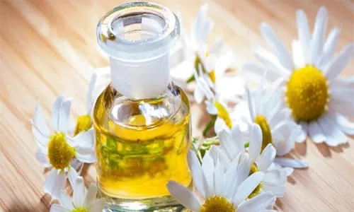 chamomileoil_p220722