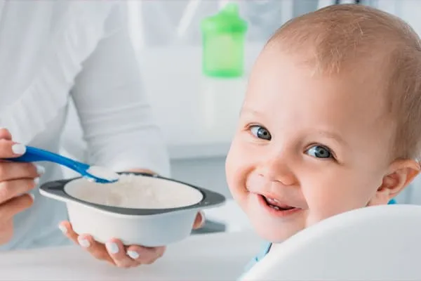 food feeding regularly