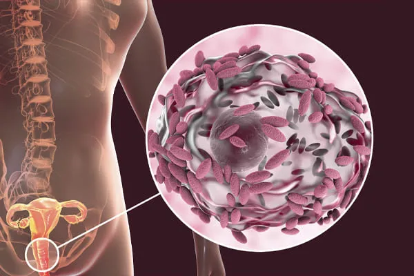 Early Pregnancy Symptoms You Should Be Aware Of