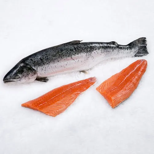 salmon-1