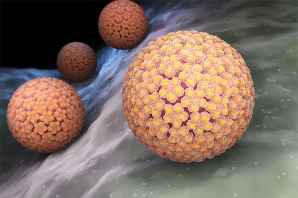 an-expanded-possibility-contracting-hpv