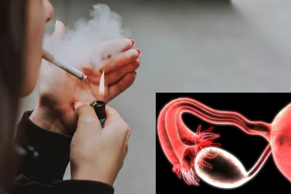 smoking-speeds-up-ovarian-egg-demise