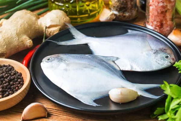 Fish-high-in-mercury