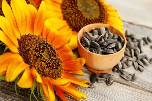 Sunflower-seeds_super_foods